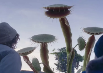 Reporte TV: María Julia Lois de HSBC + tanda navideña internacional bajo la lupa