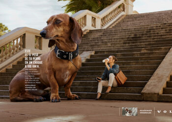 De mascotas y velocidades, lo nuevo de AnitayVega para Volvo
