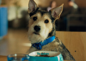 Destacados: «Te quiero» de Banco Patagonia y TombrasNiña