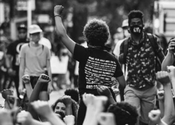 ¿Cuál es el rol de la creatividad en la democracia?